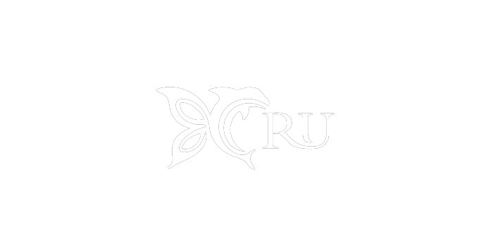 jewelleryru